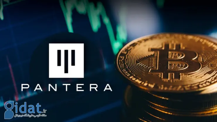 Pantera Capital: قیمت بیت کوین پس از نصف شدن به 148000 دلار خواهد رسید