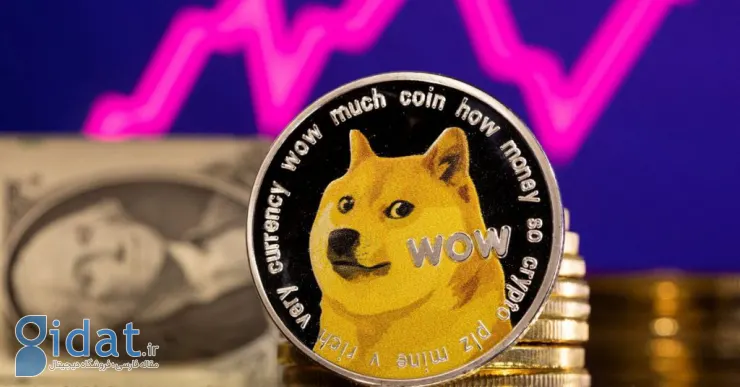 یک آدرس حاوی Dogecoin پس از 9 سال دوباره فعال شد