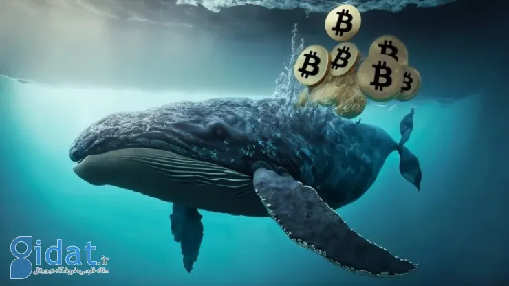 نهنگ بیت‌کوین به طور ناگهانی بیش از ۱۳۴ میلیون دلار بیت‌کوین را به کیف‌پول منتقل کرد