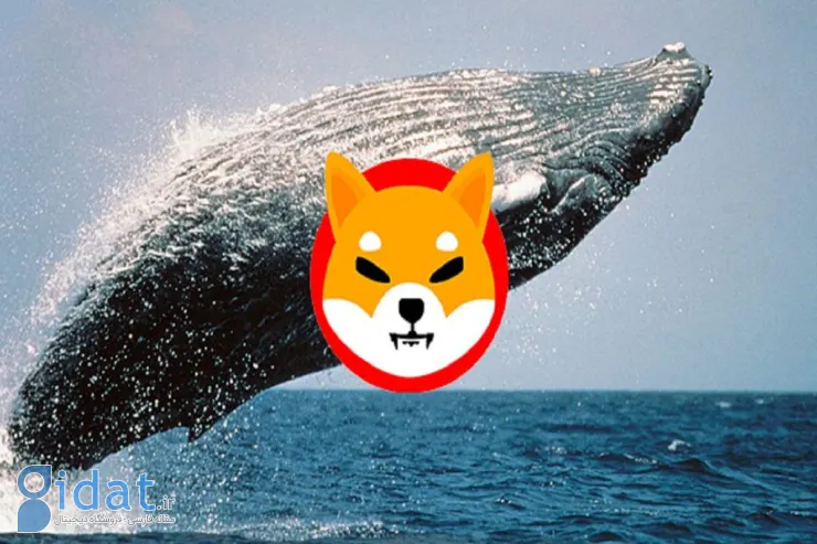 یکی از نهنگ‌های شیبا اینو بیش از ۱۷۱ میلیارد توکن از این ارز دیجیتال را خریداری کرده است