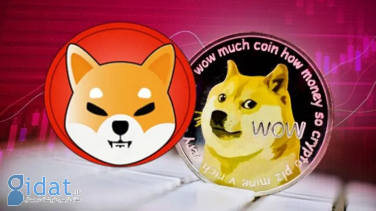 انتقال مقادیر قابل توجهی از Dogecoin و Shiba از پلتفرم رابین هود