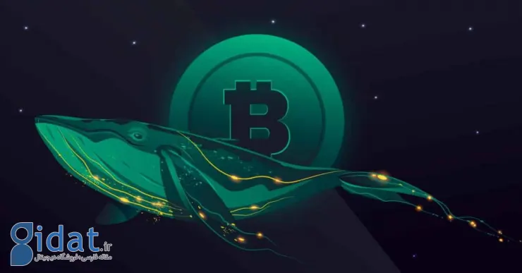 یکی از نهنگ های بازار ارزهای دیجیتال 31 هزار بیت کوین جابه جا کرده است