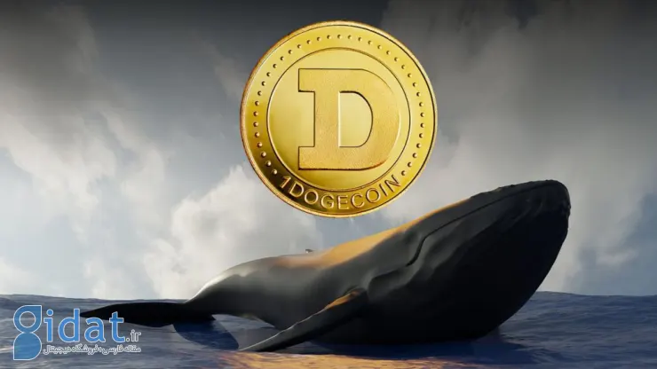 کیف پول قدیمی Dogecoin پس از نزدیک به 10 سال فعال شد