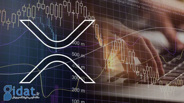 مدیر عامل Iway انتظار دارد قیمت ریپل به شدت کاهش یابد