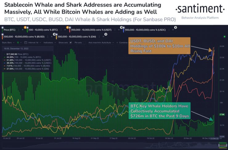 داده‌های آن‌چین: نهنگ‌‌ها به‌طور گسترده در حال انباشت بیت کوین و استیبل کوین‌ها هستند