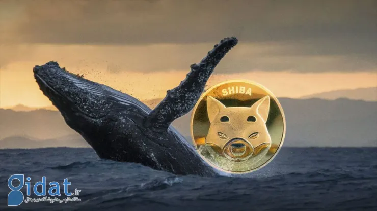 نهنگ میمکین شیبا بیش از 25 میلیون دلار از این توکن را جابجا کرد