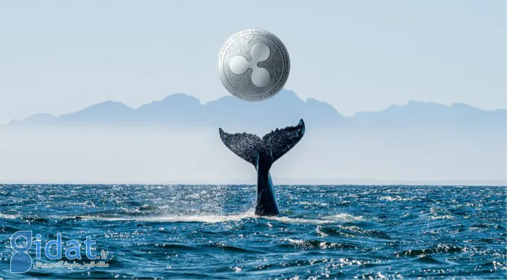 نهنگ ها در سه هفته گذشته بیش از 50 میلیون توکن ریپل خریداری کرده اند