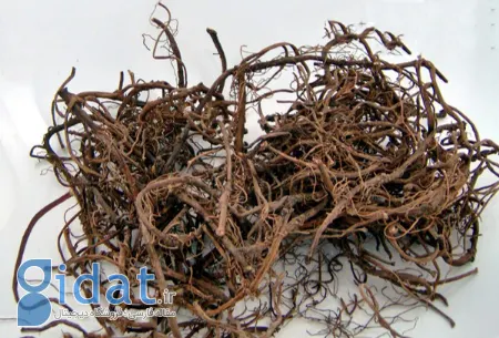خواص گیاه اسارون, اسارون برای سرماخوردگی