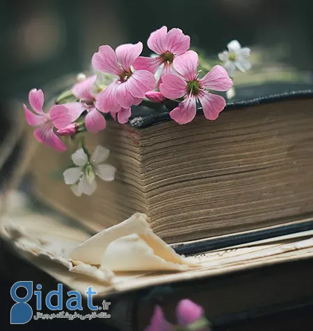 متن فلسفی کوتاه, جملات عمیق درباره زندگی