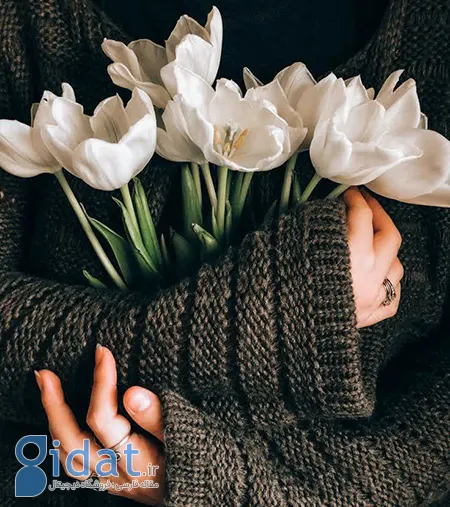 متن فلسفی کوتاه, جملات عمیق درباره زندگی