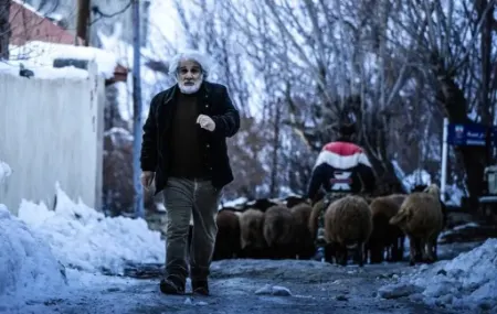 بیوگرافی ابراهیم امینی, جوایز  ابراهیم امینی