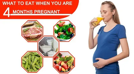 تغذیه در ماه چهارم بارداری, تغذیه سالم در بارداری ماه چهارم, غذاهای مفید در ماه چهارم بارداری