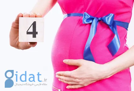 غذاهایی که به رشد و سلامت جنین شما کمک می کنند: راهنمای تغذیه در ماه چهارم بارداری