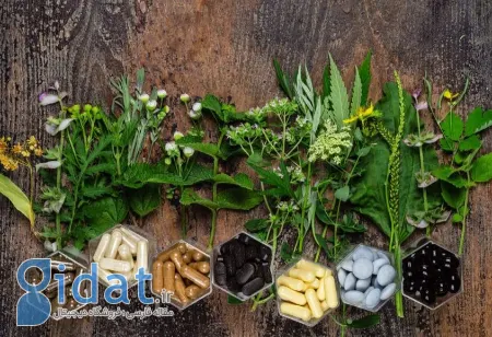 بهترین مکمل‌های گیاهی برای بدنسازی, افزایش تستوسترون با گیاهان دارویی
