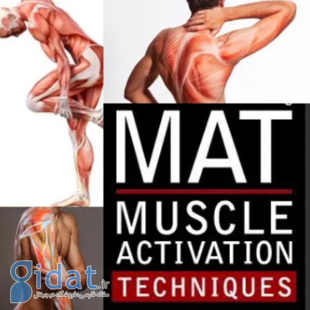 فعال سازی عضلات چیست و چرا مهم است؟
