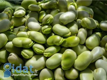 پوست کندن باقلا, خشک کردن باقلا به روش خانگی