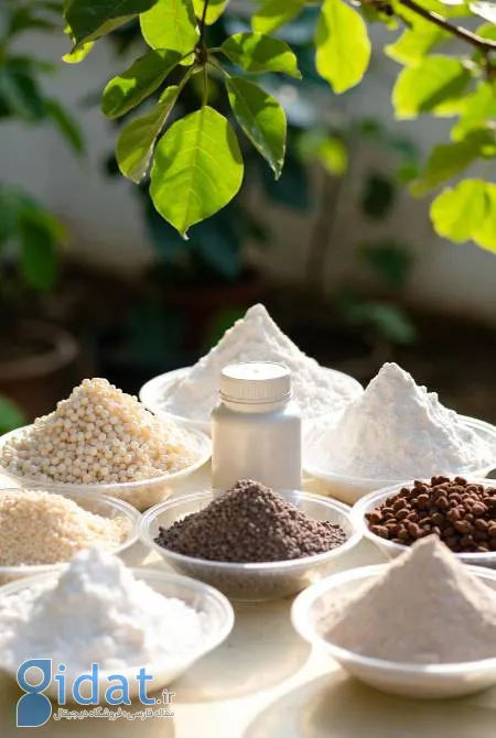 کود فسفر: همه چیز درباره مهمترین عنصر برای رشد ریشه و گلدهی گیاهان