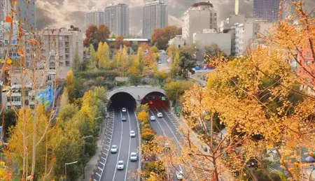 زیباترین دیدنی‌های پایتخت را در پاییز رنگارنگ تهران کشف کنید
