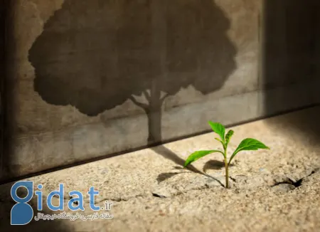 با مشکلات زندگی مبارزه کنید: نقل قول هایی برای پشتکار و پیروزی