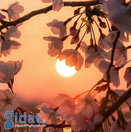 جملات انگیزشی برای زندگی, جملات الهام‌بخش زندگی