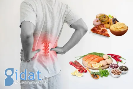 بهترین غذاها برای تقویت ستون فقرات و دیسک کمر