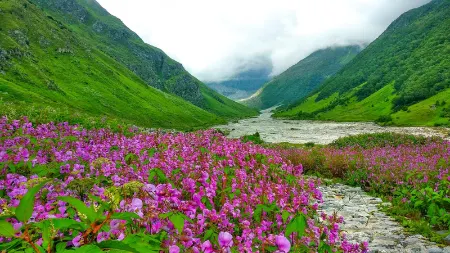 دره گل‌ها هند, پارک ملی دره گل‌ها