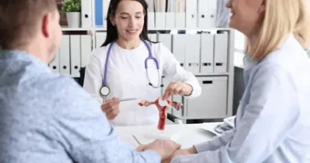 تخمک‌گذاری و لقاح