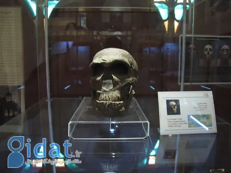 موزه پارینه سنگی زاگرس: سفری به اعماق تاریخ بشر در قلب زاگرس