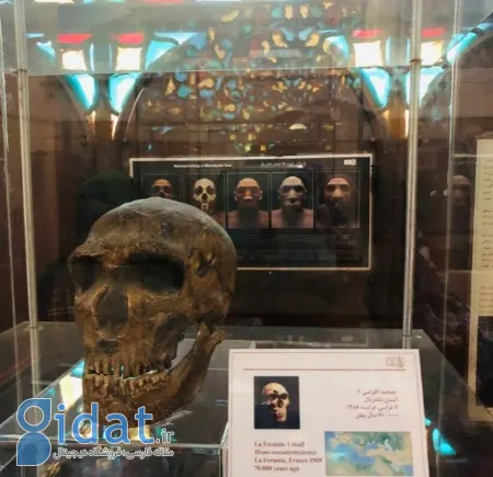 موزه پارینه سنگی زاگرس, گردشگری کرمانشاه موزه