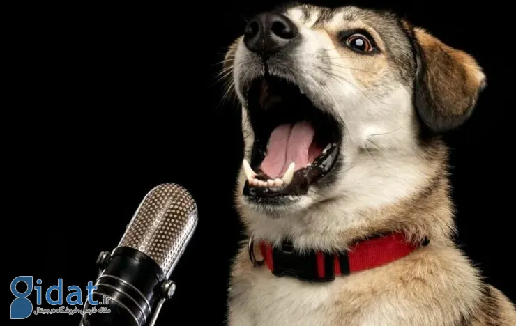   ترجمه کردن پارس سگ‌ها با هوش مصنوعی,اخبار تکنولوژی ,خبرهای تکنولوژی 