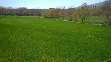 روستای بنگلان از جاذبه های طبیعی و تفریحی استان ایلام است