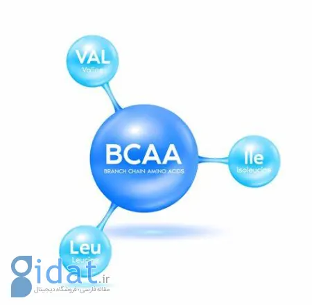مزایای BCAA, مکمل BCAA برای بدنسازی