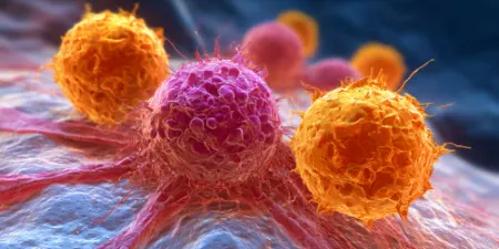 سرطان از این 6 میوه متنفر است؛ برای مبارزه با آن این میوه ها را بخورید!