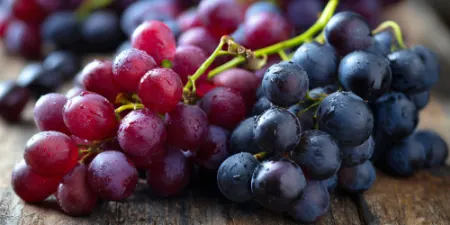 میوه‌های ضد سرطان, خواص کیوی برای سیستم ایمنی