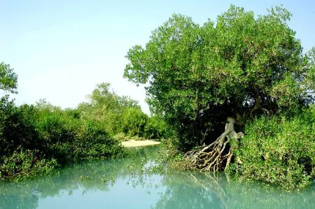  اقتصاد بندر خمیر, بندر خمیر و تالاب بین‌المللی