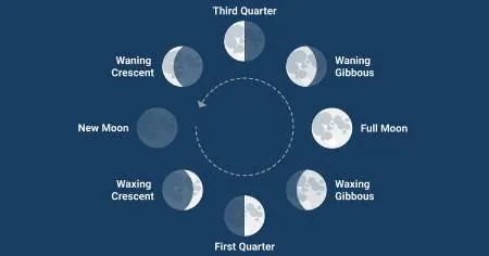 فازهای ماه, شکل‌های ماه در روزهای مختلف
