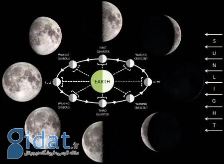 فازهای ماه, شکل‌های ماه در روزهای مختلف