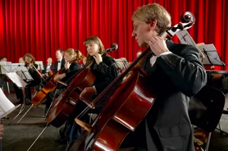 نوازندگی, معرفی شغل نوازندگی