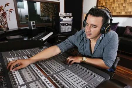 نوازندگی, معرفی شغل نوازندگی