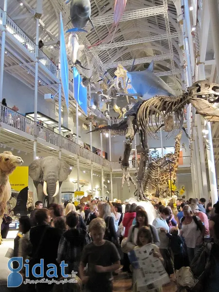 موزه ملی اسکاتلند,ساعت کاری موزه اسکاتلند