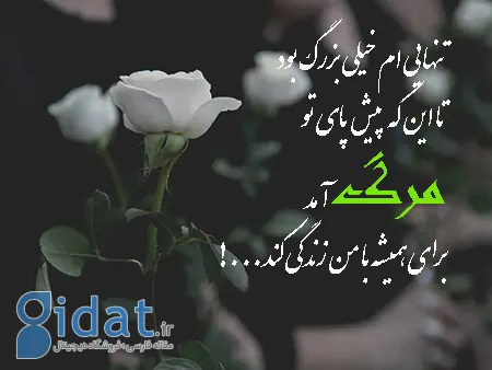 نمونه هایی از انشاهای عکس در مورد مرگ