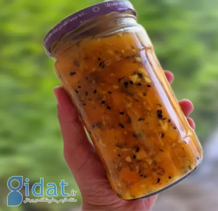 طرز تهیه انواع ترشی شفتالو