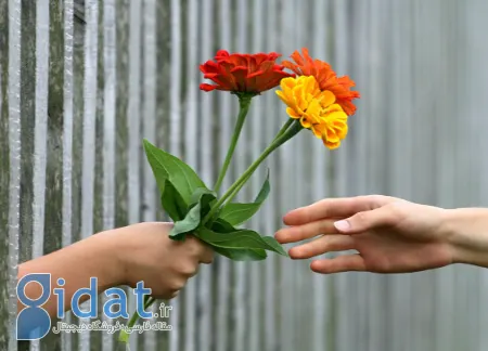 فواید روانی گل