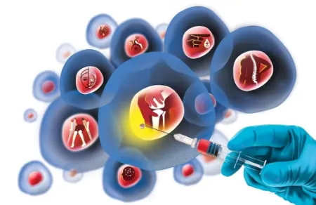 درمان با سلول های بنیادی چگونه کار می کند؟