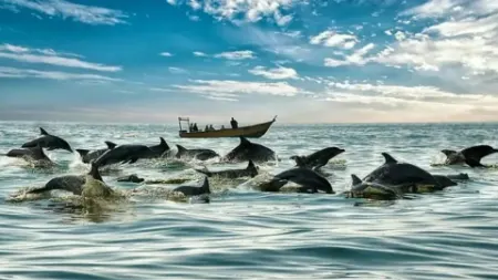 تنگه هرمز کجاست, اهمیت تنگه هرمز