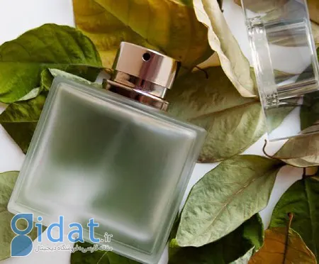 نکاتی برای نگهداری عطر