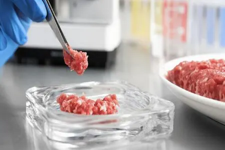 تولید چربی آزمایشگاهی برای بهبود بافت گوشت مصنوعی