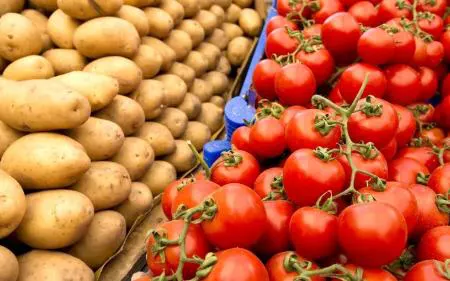گوجه فرنگی پدربزرگ سیب زمینی است