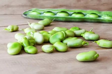 فواید سلامتی لوبیا لیما
