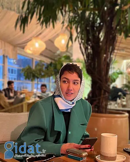 دنیز دانش صمدی, بیوگرافی دنیز دانش صمدی